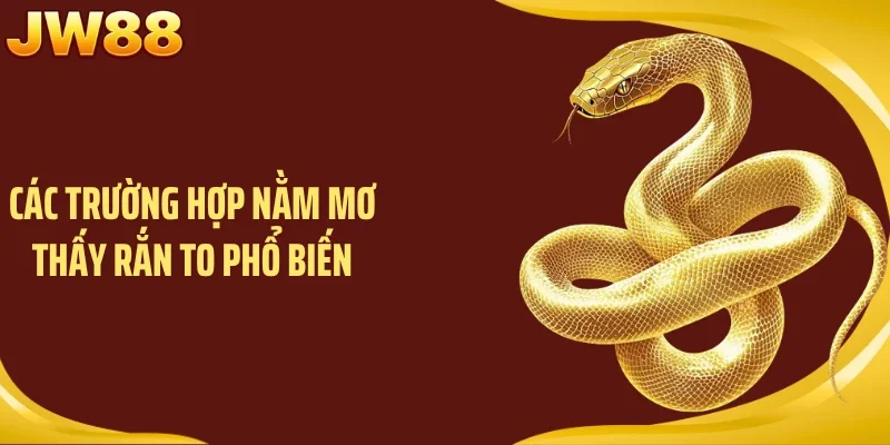 Các trường hợp nằm mơ thấy rắn to phổ biến