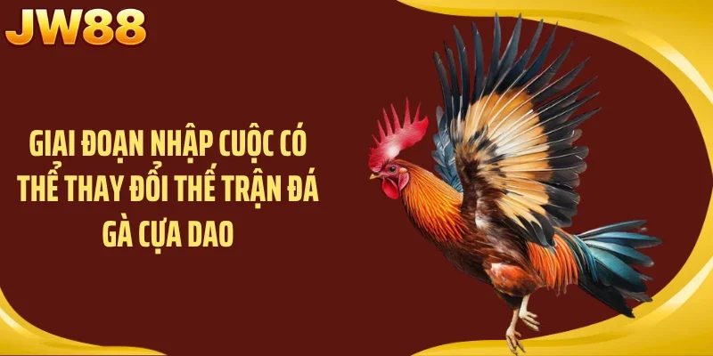 Giai đoạn nhập cuộc có thể thay đổi thế trận đá gà cựa dao