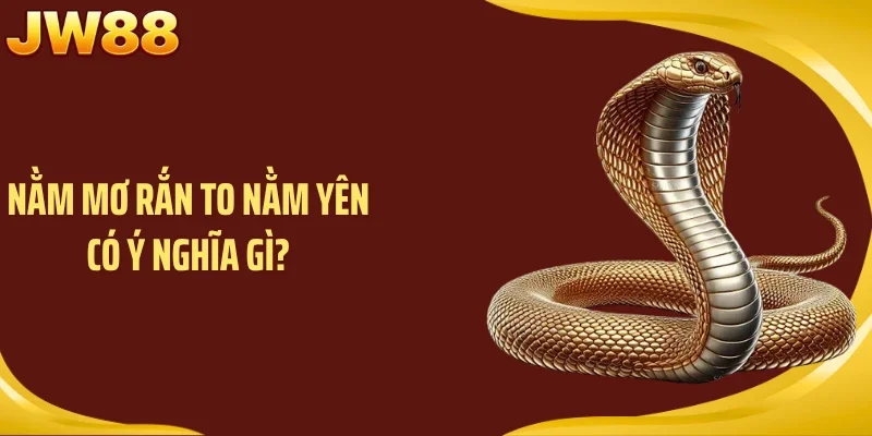 Nằm mơ rắn to nằm yên có ý nghĩa gì?