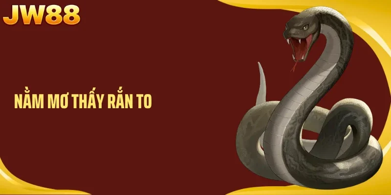 Nằm Mơ Thấy Rắn To- Giải Mã Ý Nghĩa Và Gợi Ý Con Số Phù Hợp